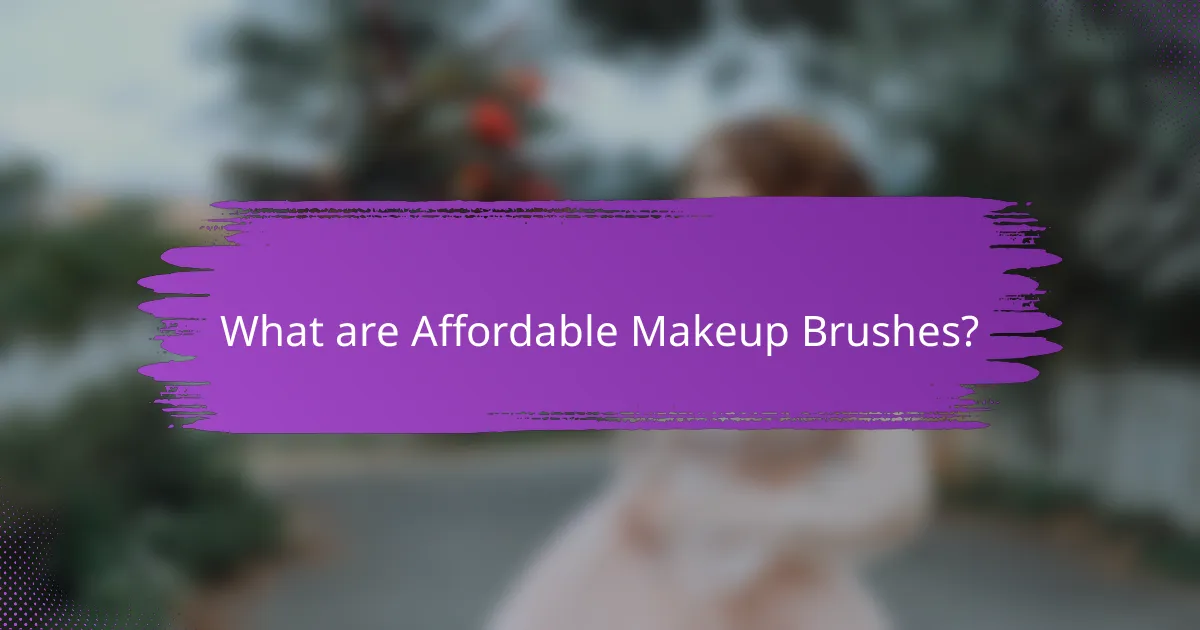 What are Affordable Makeup Brushes?