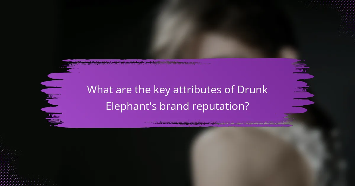 What are the key attributes of Drunk Elephant's brand reputation?