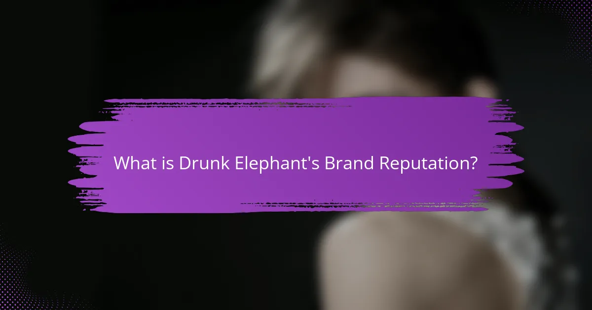 What is Drunk Elephant's Brand Reputation?