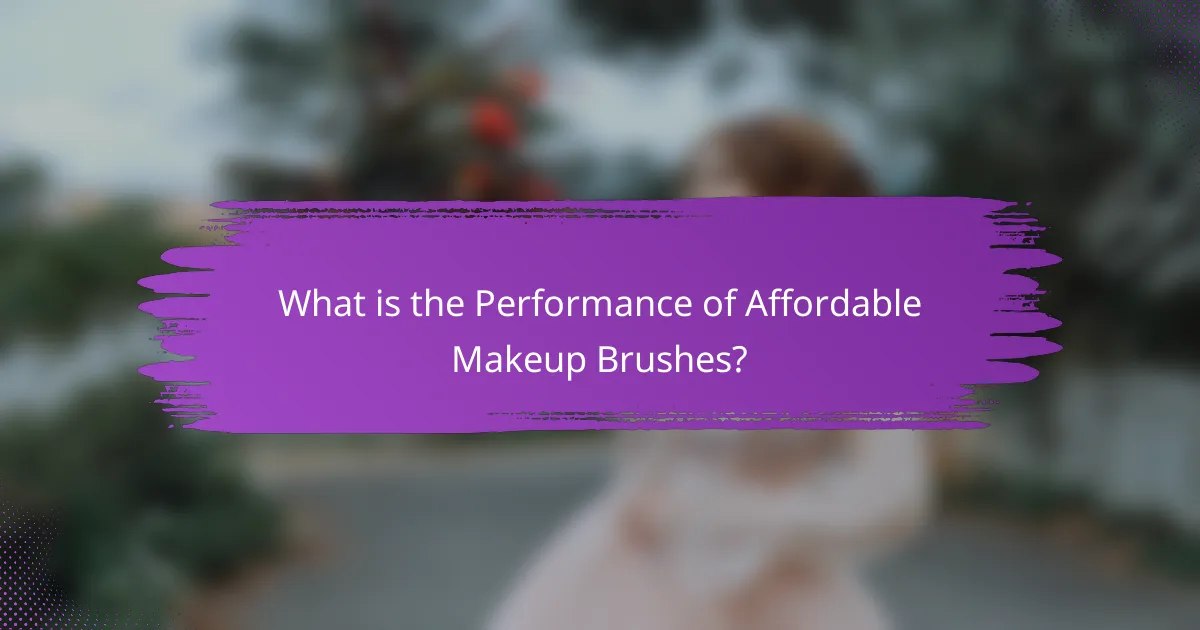 What is the Performance of Affordable Makeup Brushes?