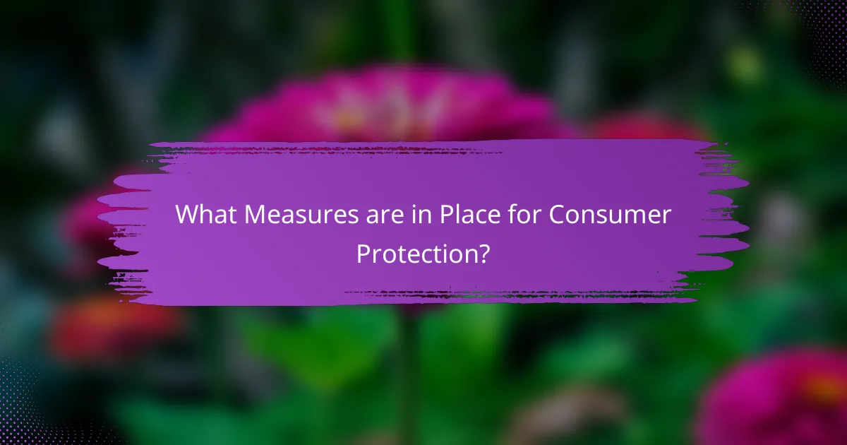 What Measures are in Place for Consumer Protection?
